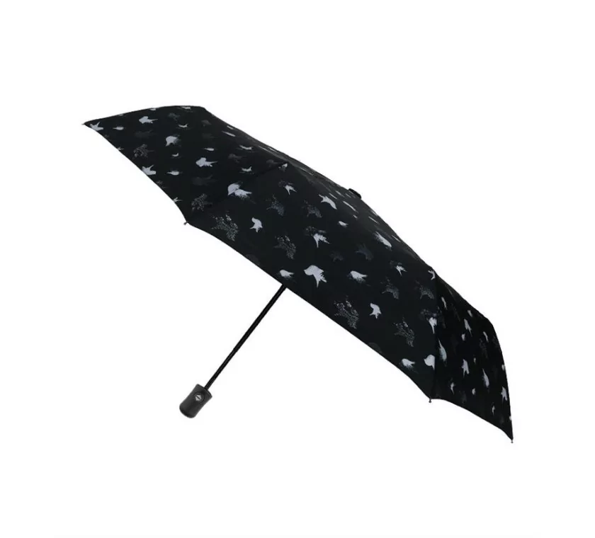 Smati petit parapluie automatique noir avec oiseaux